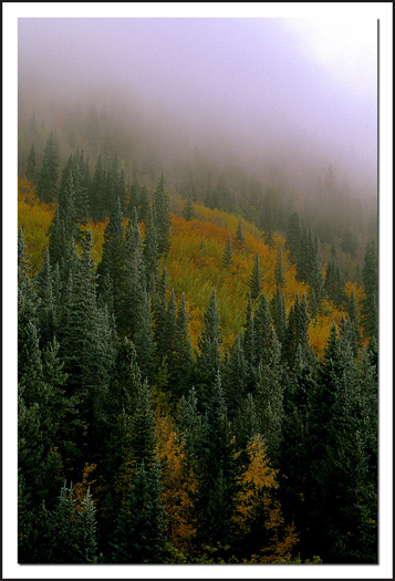 Near Silver Plume