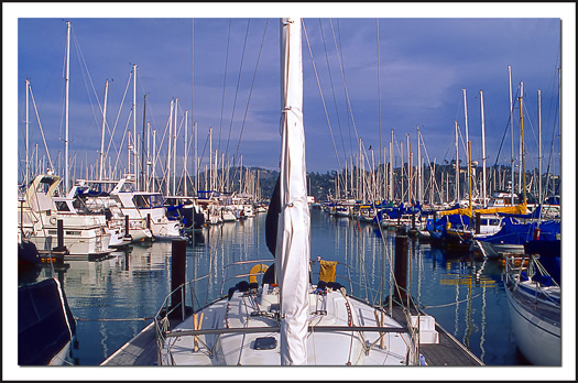 Blue Harbor