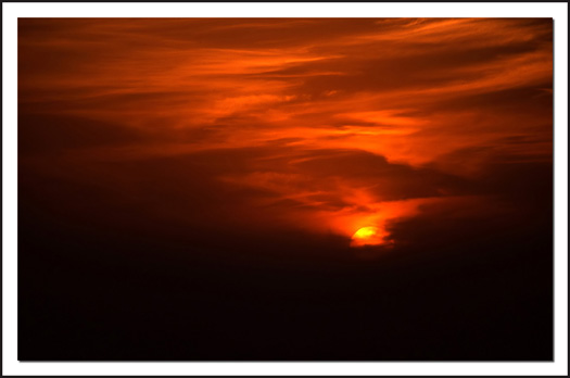 Sunset Closeup