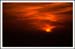 Sunset Closeup