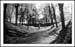 Oslo Fort II B_W